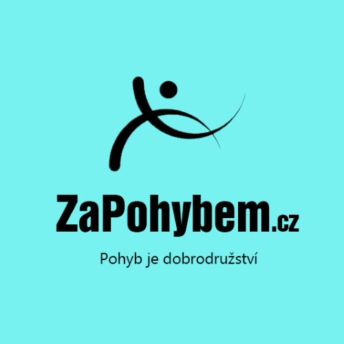 logo ZaPohybem